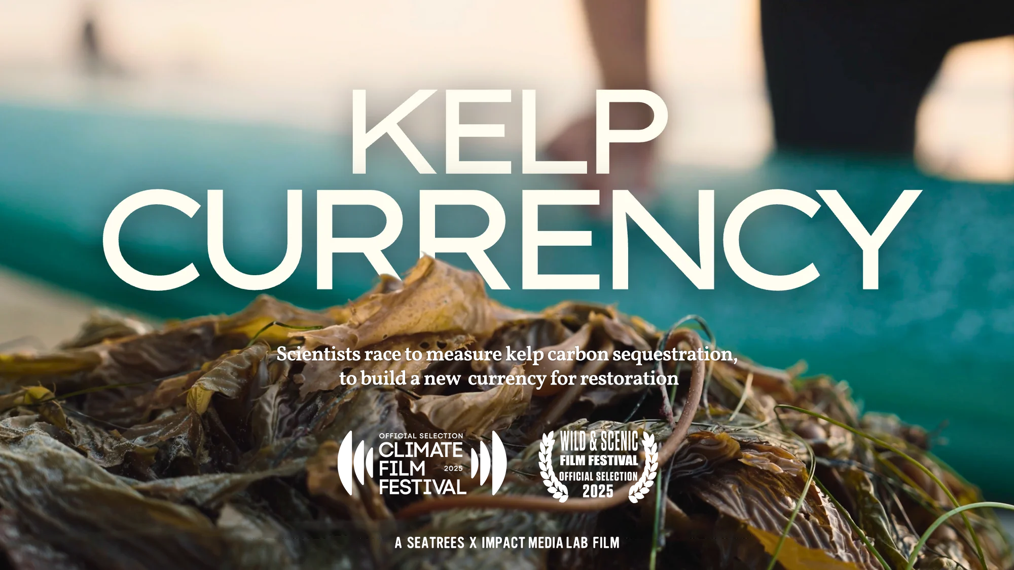 Kelp Currency - Cinematographer / Editor