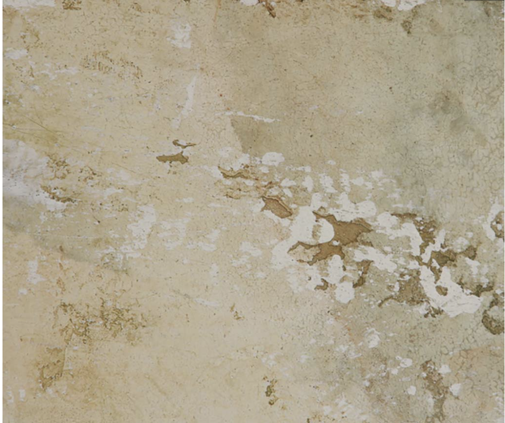 MARMORINO GOLD MICA PLASTER WALL IN LUXURY HOME MIAMI BEACH