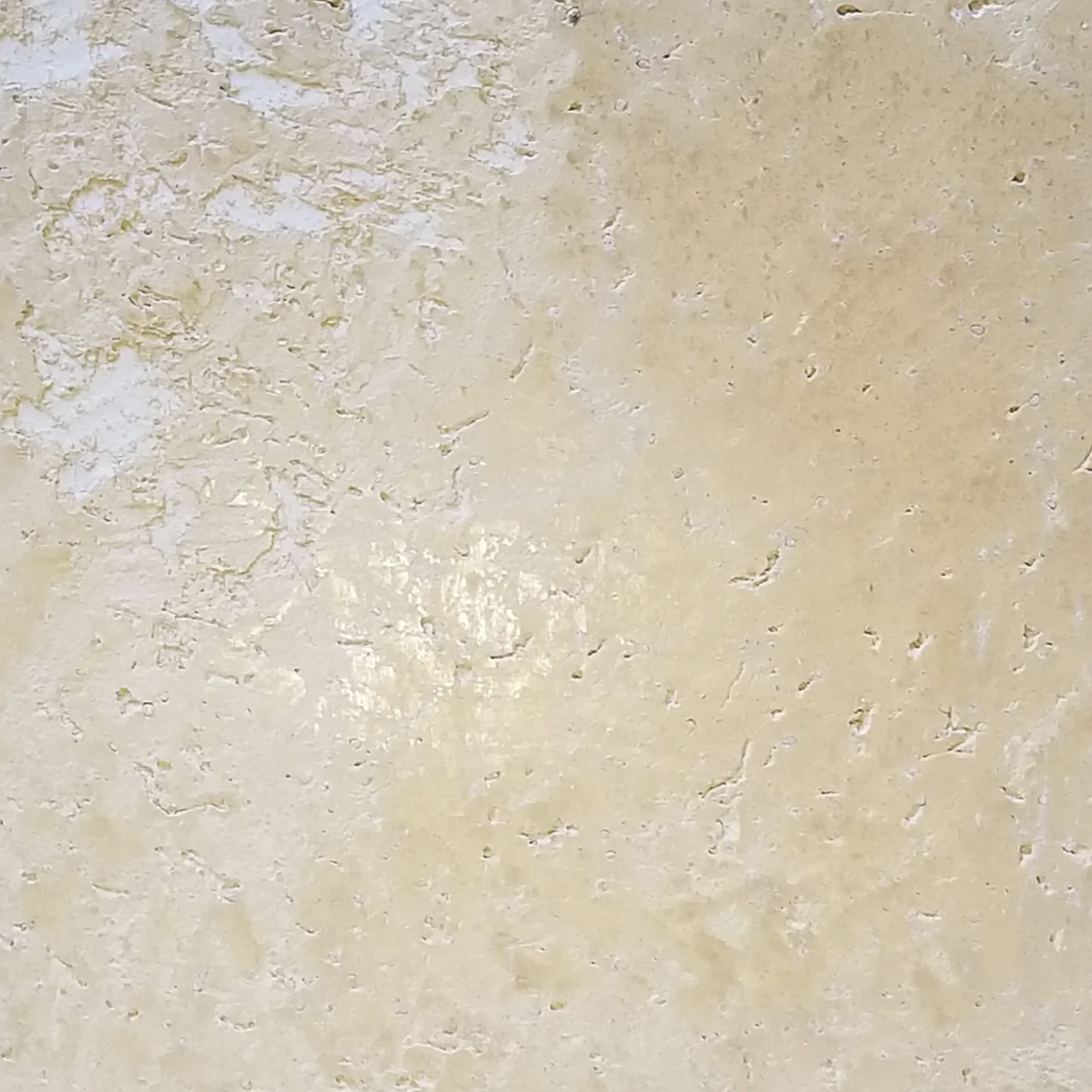 VENETIAN PLASTER AND GOLD LEAF WALL 