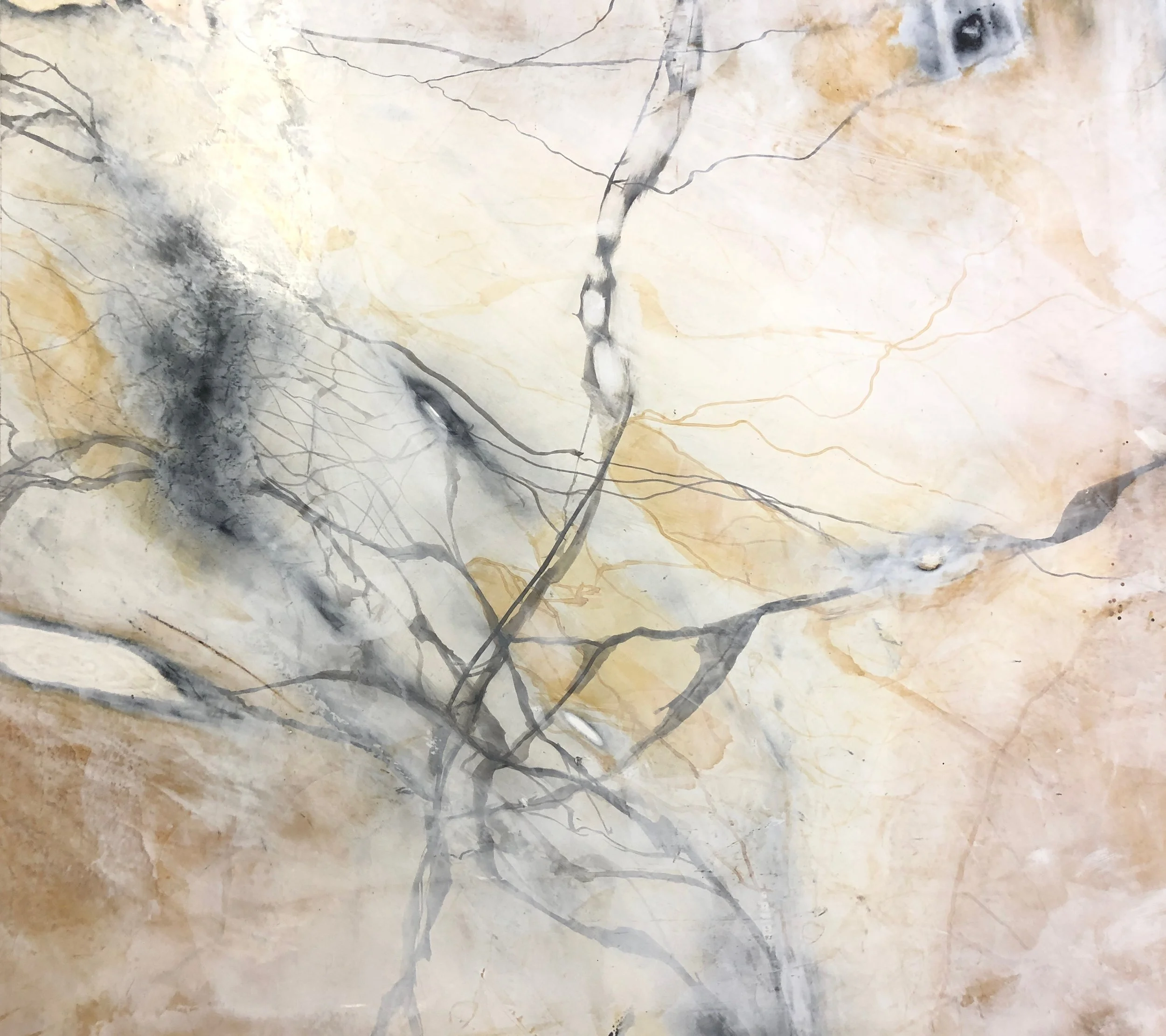 MARBELIZED VENETIAN PLASTER WALL TECHNIQUE LUXURY HIGH END INTERIOR PAINT