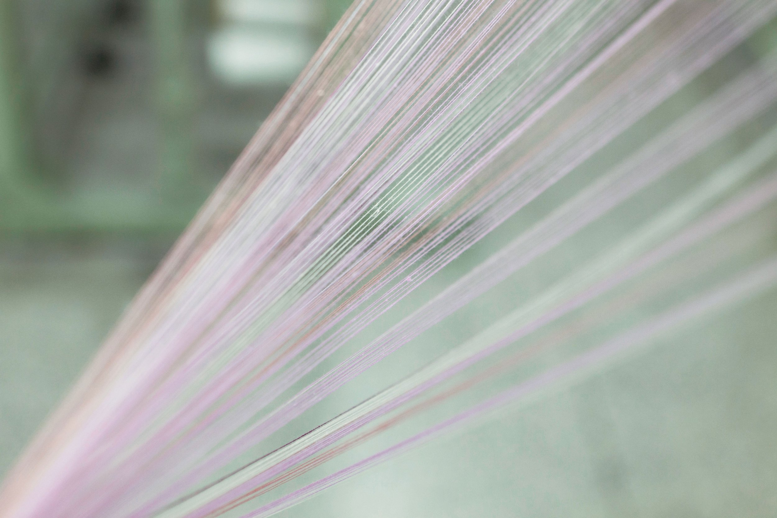 UCHINO yarn making factory. A close-up of a leaf with visible veins and soft pastel colors.