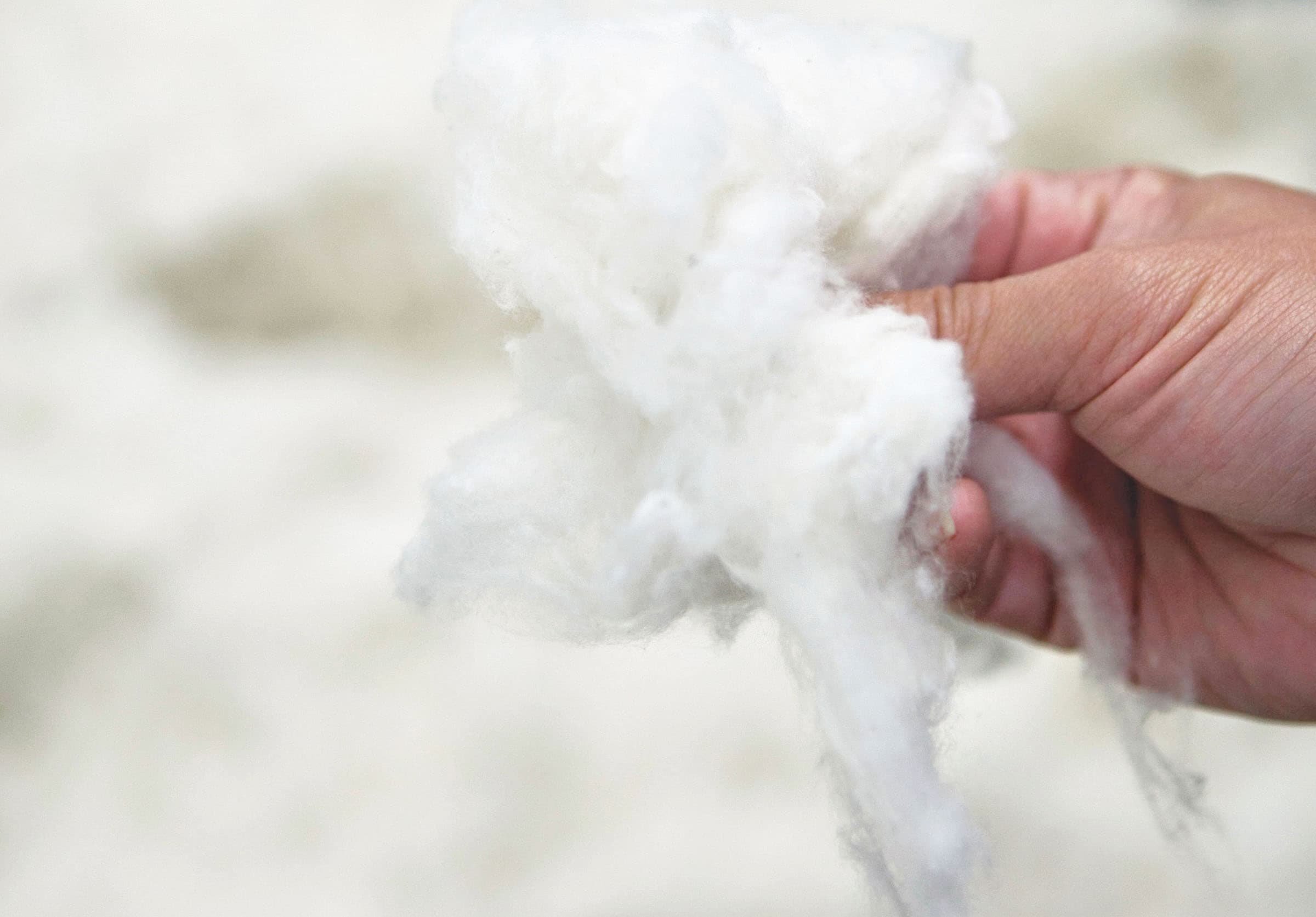 UCHINO towel cotton materials