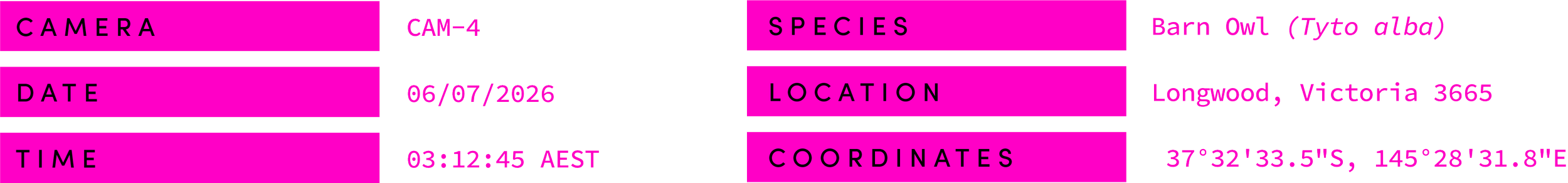 A detailed database table with information about barn owls, including camera ID, date, time, species, location in Longwood, Victoria, and specific geographic coordinates.