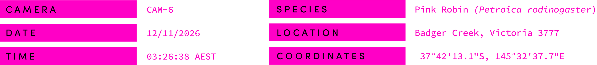 Data display panel with pink background, showing details about a camera image of a pink robin bird. Includes camera number, date, time, species, location, and coordinates.