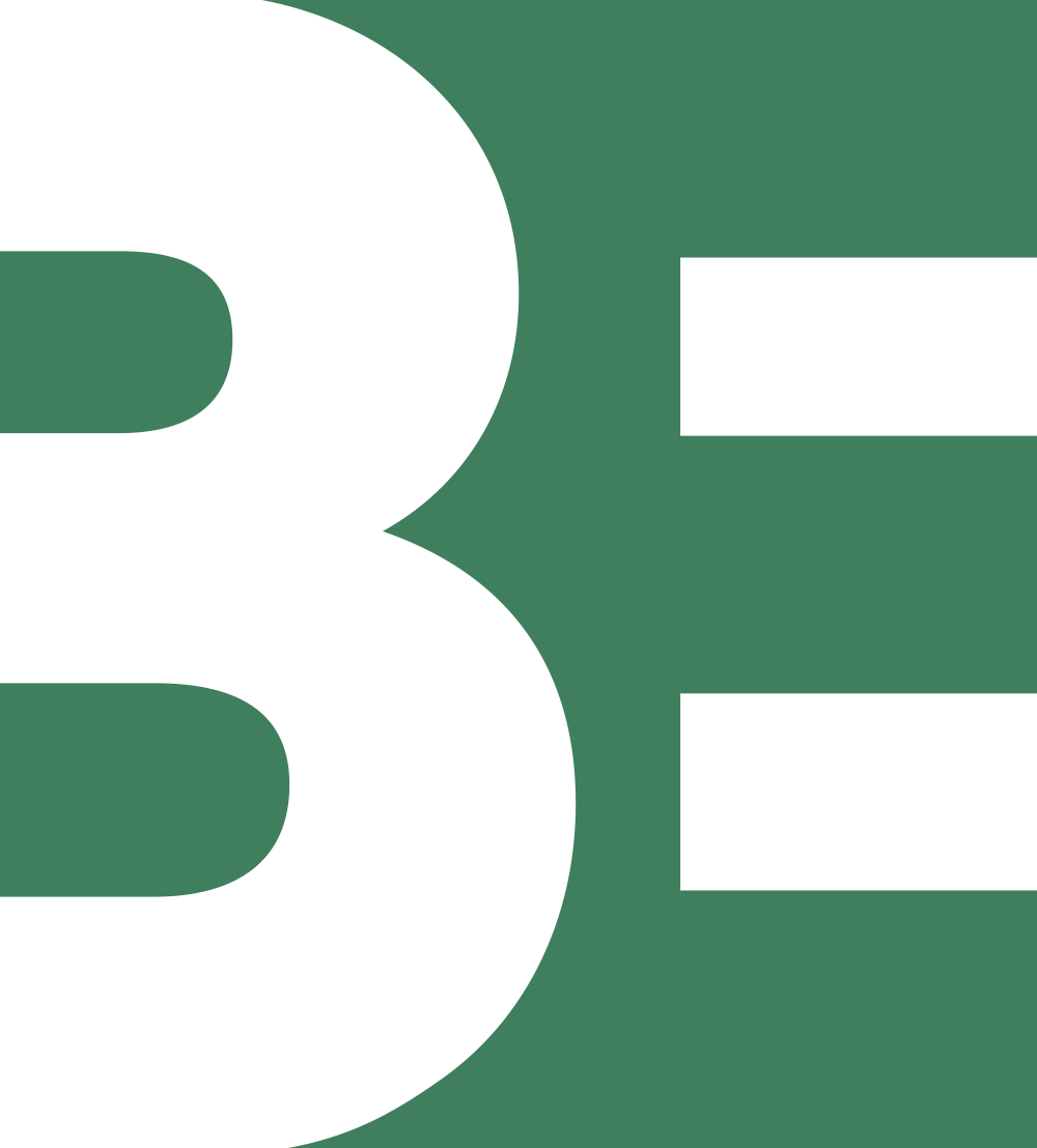 BIRDS EYE MUSIC GROUP