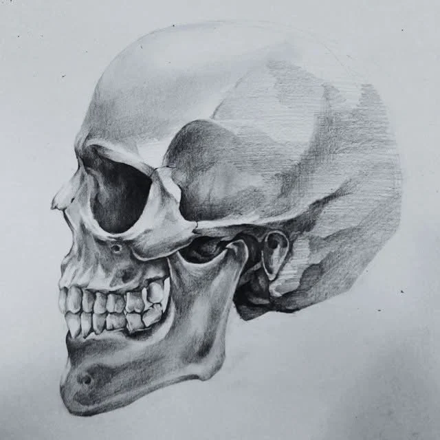 drawing