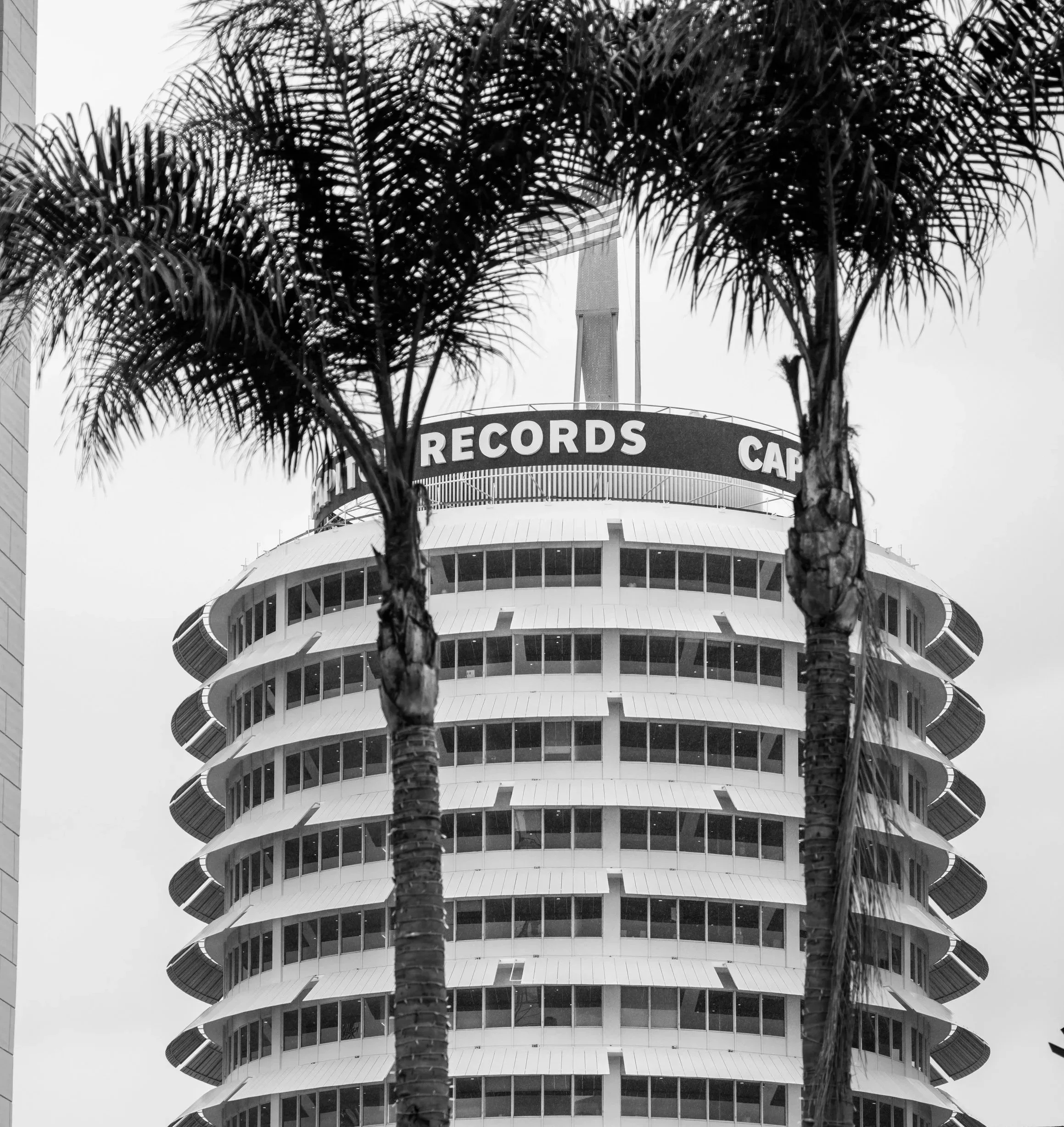 TOWER OF SONG