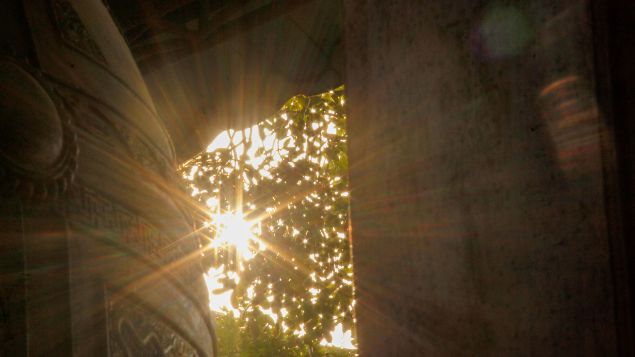 Sunlight shining through leaves outside, viewed through a gap between stone structures or artifacts.