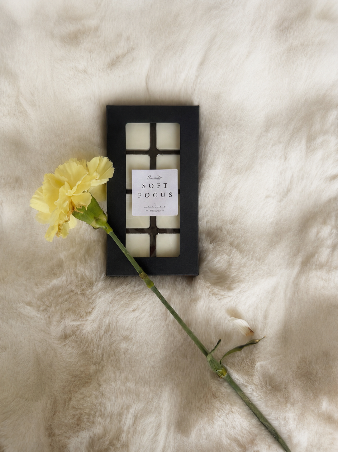 Soft Focus 8-Count Wax Melts