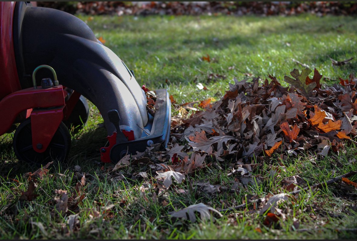 Leaf blower on the grass next to a pile of fallen autumn leaves.