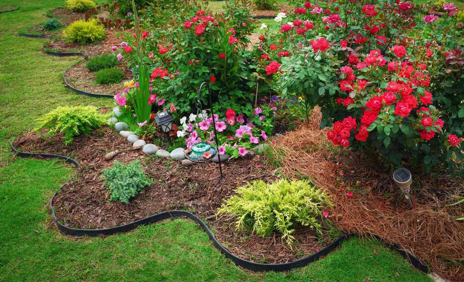 Colorful flower garden with pink and red roses, surrounded by mulch and black edging, grass on the periphery, and garden lights.