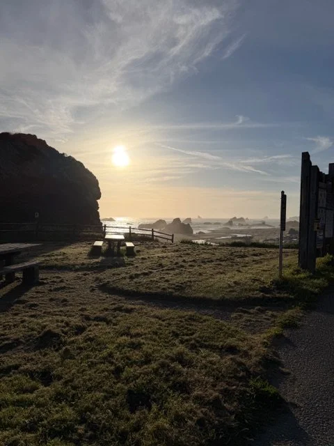 Harris Beach Brookings Oregon Wedding Planning  Blue Drgonfly