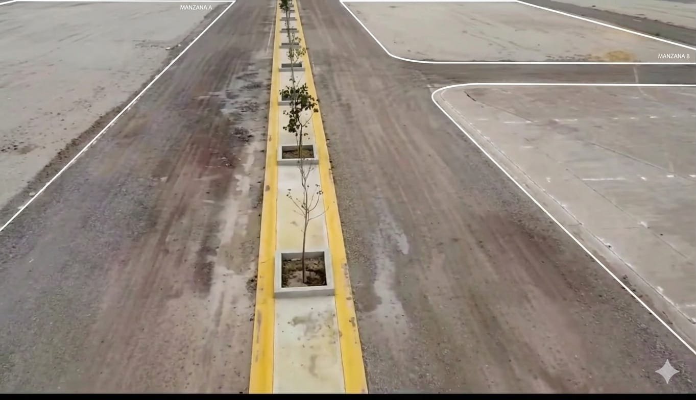 Calzada en construcción con línea de árboles jóvenes plantados en el centro. Se observan manzanas etiquetadas como "Manzana A" y "Manzana B" en la parte superior de la imagen.