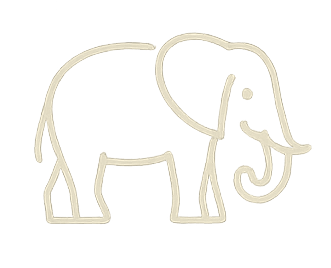 Simple line drawing of an elephant with large ears and a trunk.