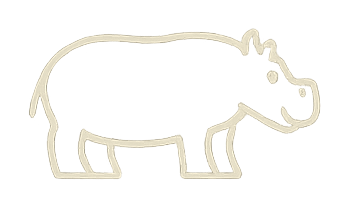 Simple line drawing of a hippopotamus