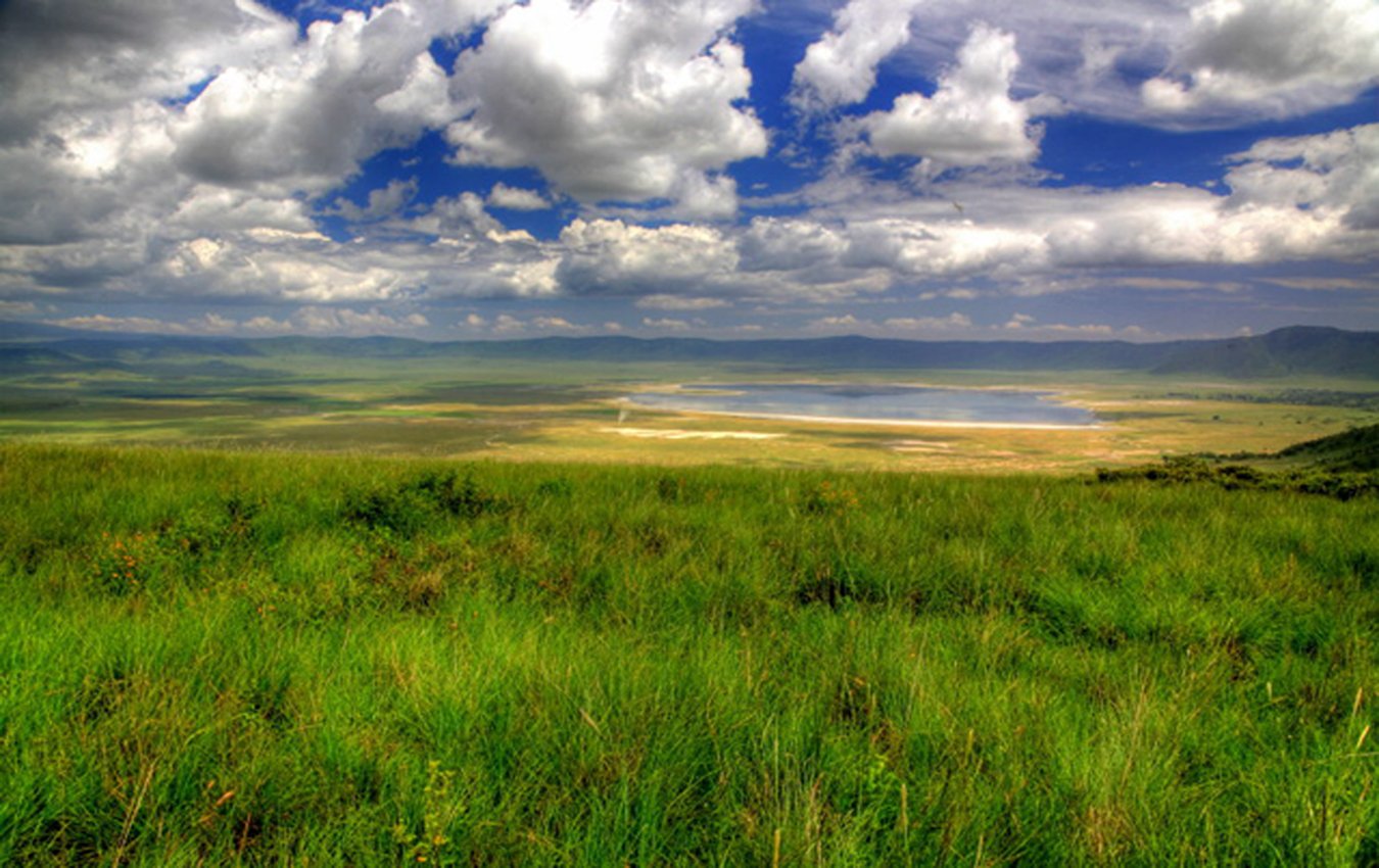 The Ngorongoro Crater during green season