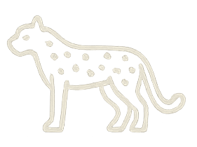 Cheetahs are frequently seen in Tanzania's Serengeti Plains