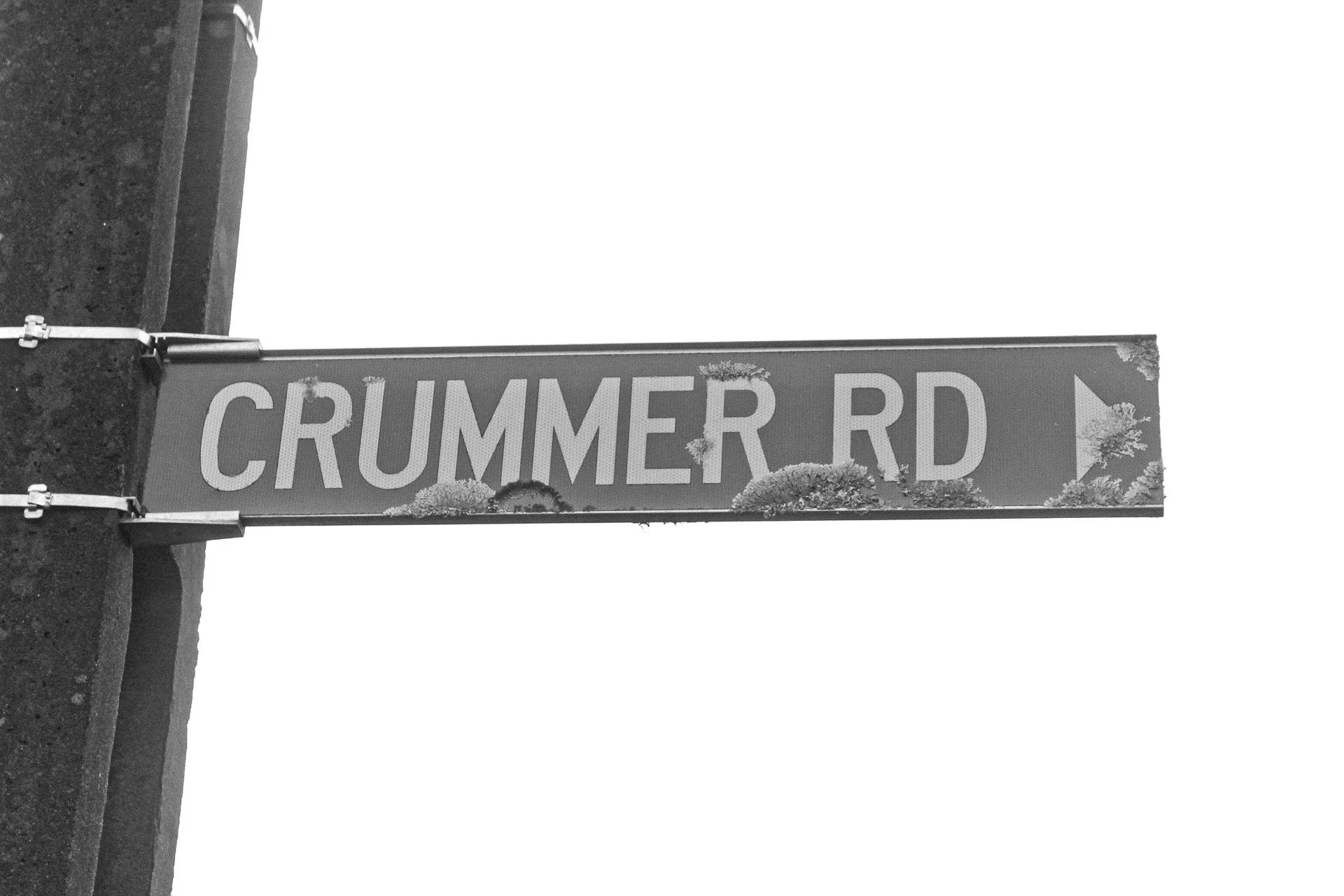 Grey Lynn everyday life