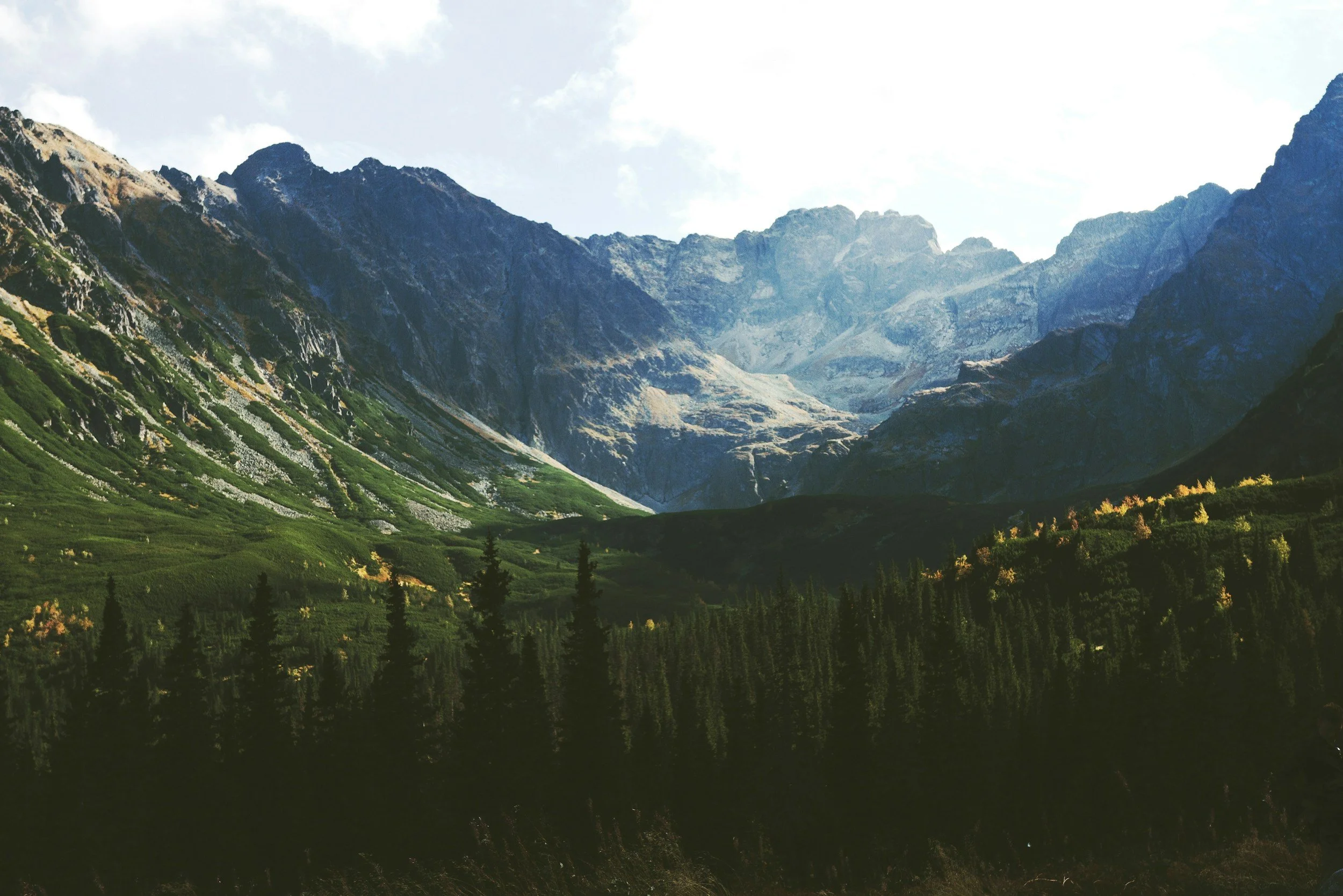 A scenic view of a mountain range with rocky peaks, green vegetation on the slopes, and a forested area in the foreground under a partly cloudy sky.