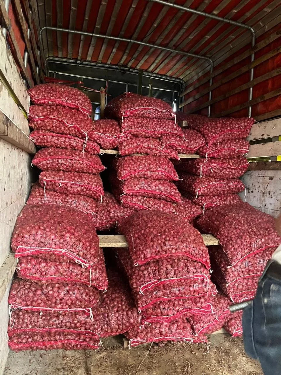 Stacked mesh bags filled with onions in the back of a truck.