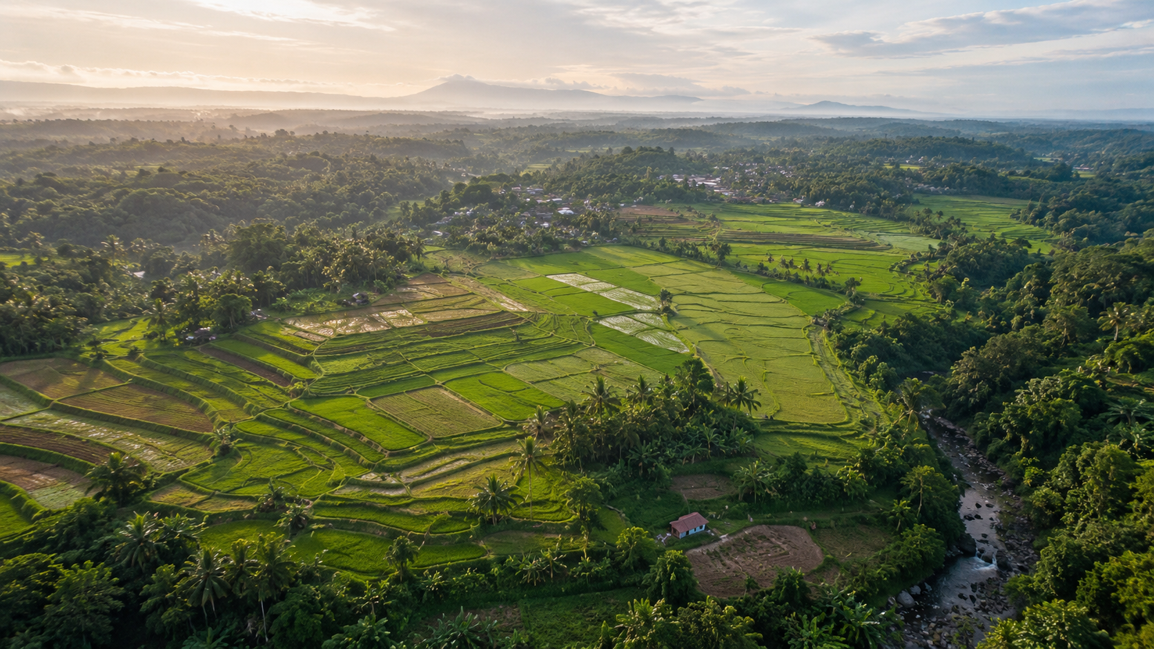 Aerial view of lush green rice paddies and a small river in a rural area during sunset, with distant mountains in the background.