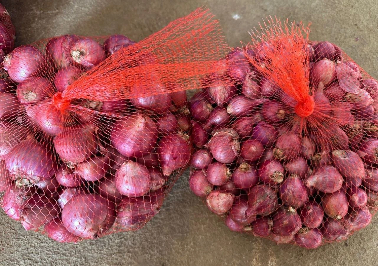 Two mesh bags filled with red onions on a concrete surface.