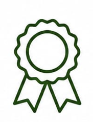 Simple line drawing of a medal with a ribbon.