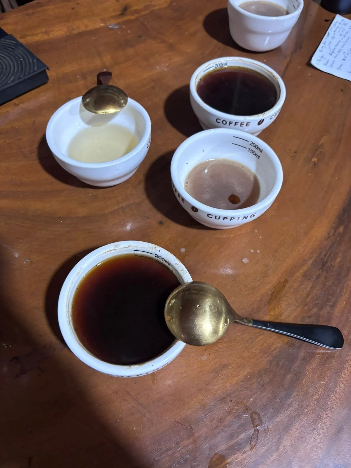 Multiple cups of black coffee with measuring spoons on a wooden table, some cups have liquid and some are empty. This is a coffee cupping and scoring session. Tasting and measure quality and doing scoring against other coffee in bali and other region