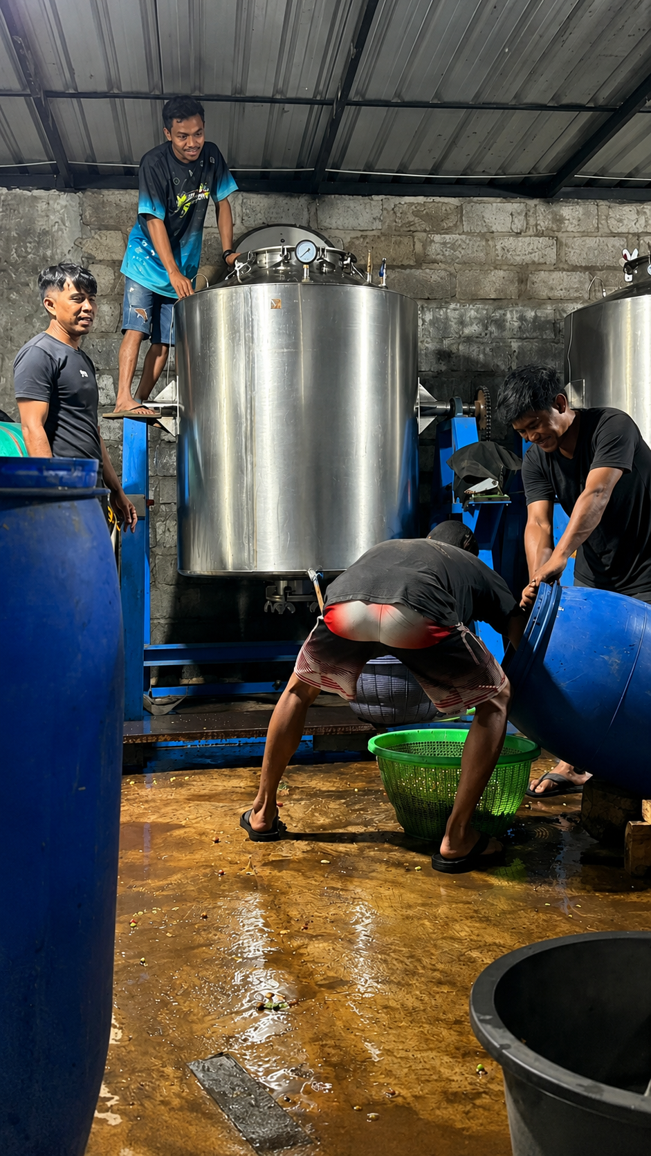 Group of five men working in a brewery or distillery, with large metal tanks and blue barrels around them, some leaning over or handling barrels and equipment. Washing Coffee cherries.