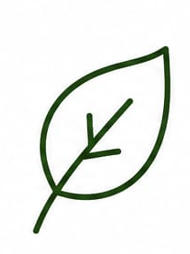 Simple green leaf outline with a central vein