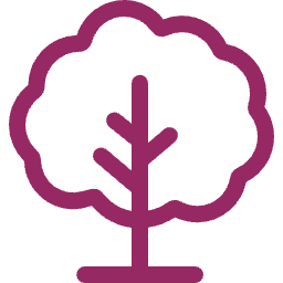 Simple line drawing of a tree with purple outline