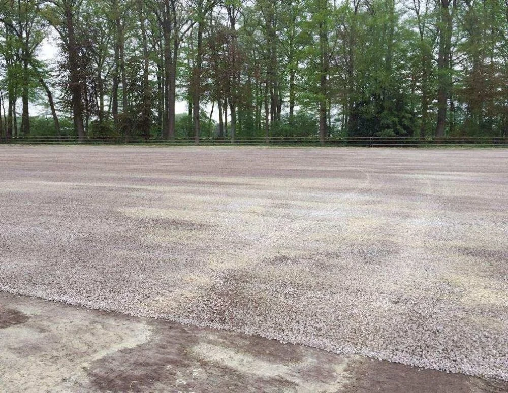 A gravel area in front of a wooded area with tall trees and green leaves.