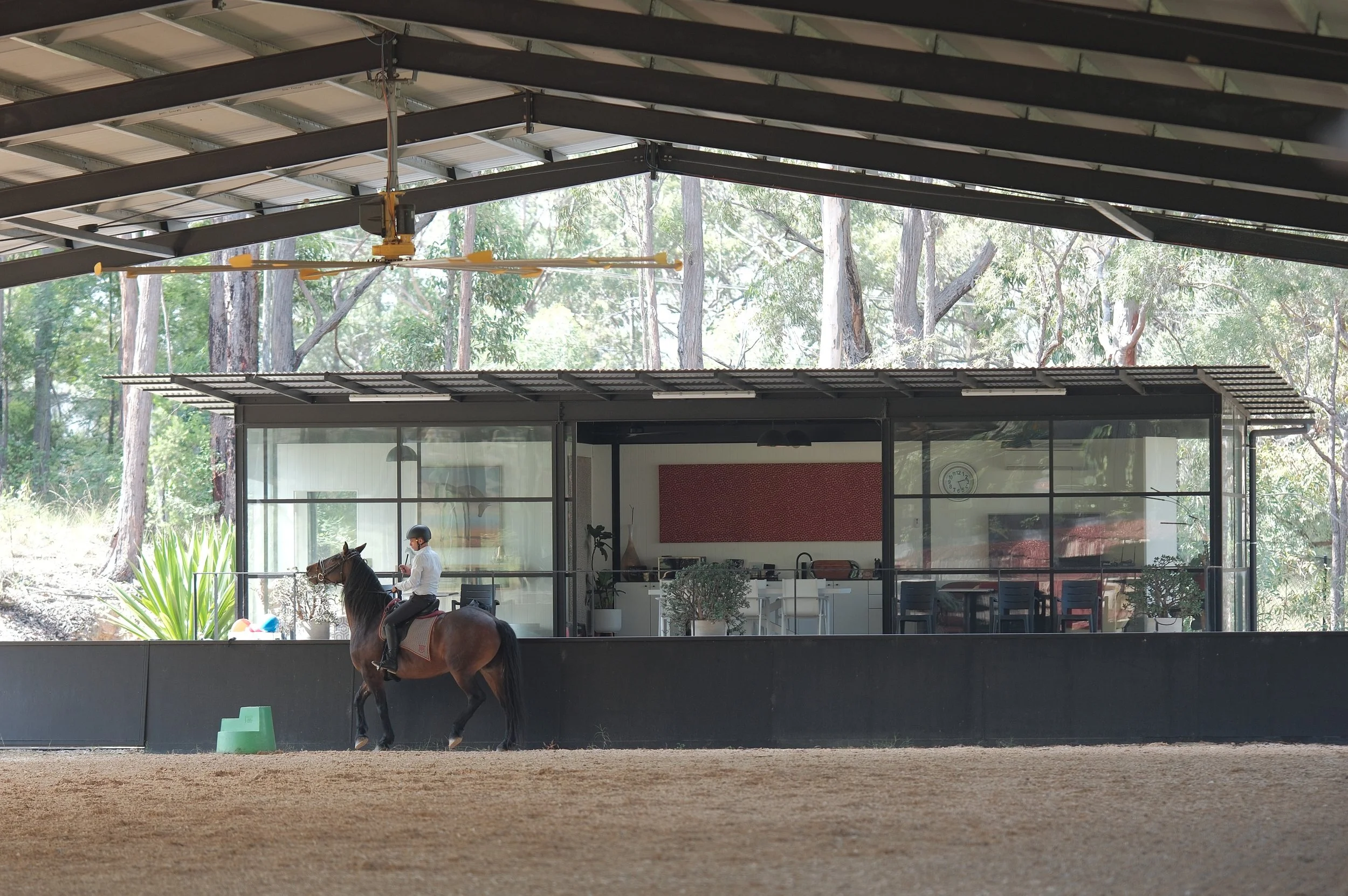 Indoor equestrian riding arena with a person riding a horse, framed by a modern glass and steel structure, overlooking a wooded outdoor area.