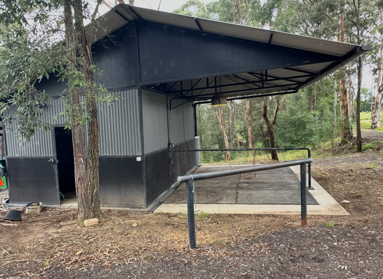 A small black was shed with a sloped roof, open entrance, and a ramp with a railing leading to the entrance, situated in a wooded outdoor area.