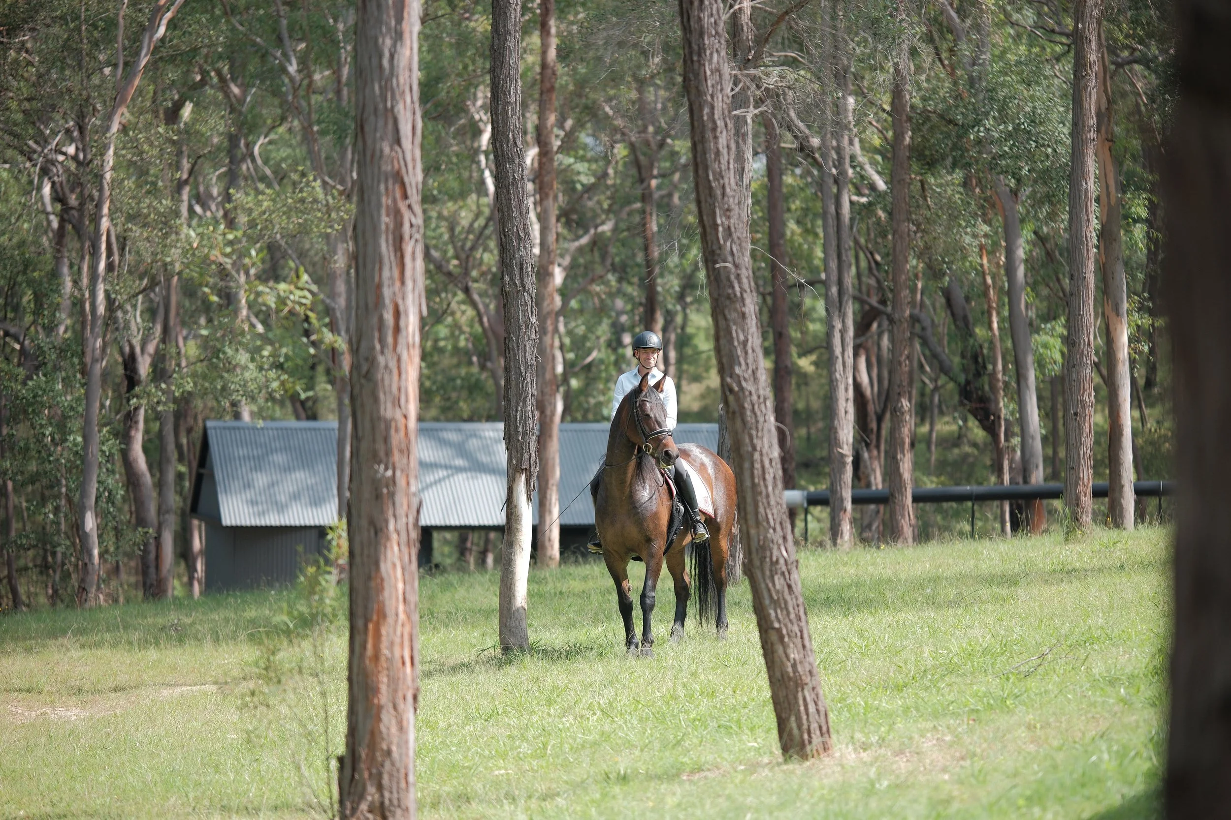A man riding a horse through a riding track with tall trees and greenery.