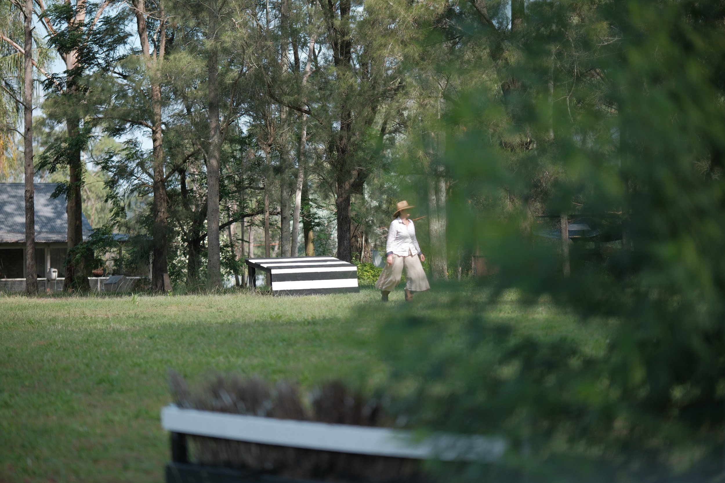 A person in a white shirt, beige wide-brimmed hat, and beige pants walking through a jumping paddock with tall trees. There is a black-and-white striped structure and a green lawn in the scene, with a house partially visible in the background.