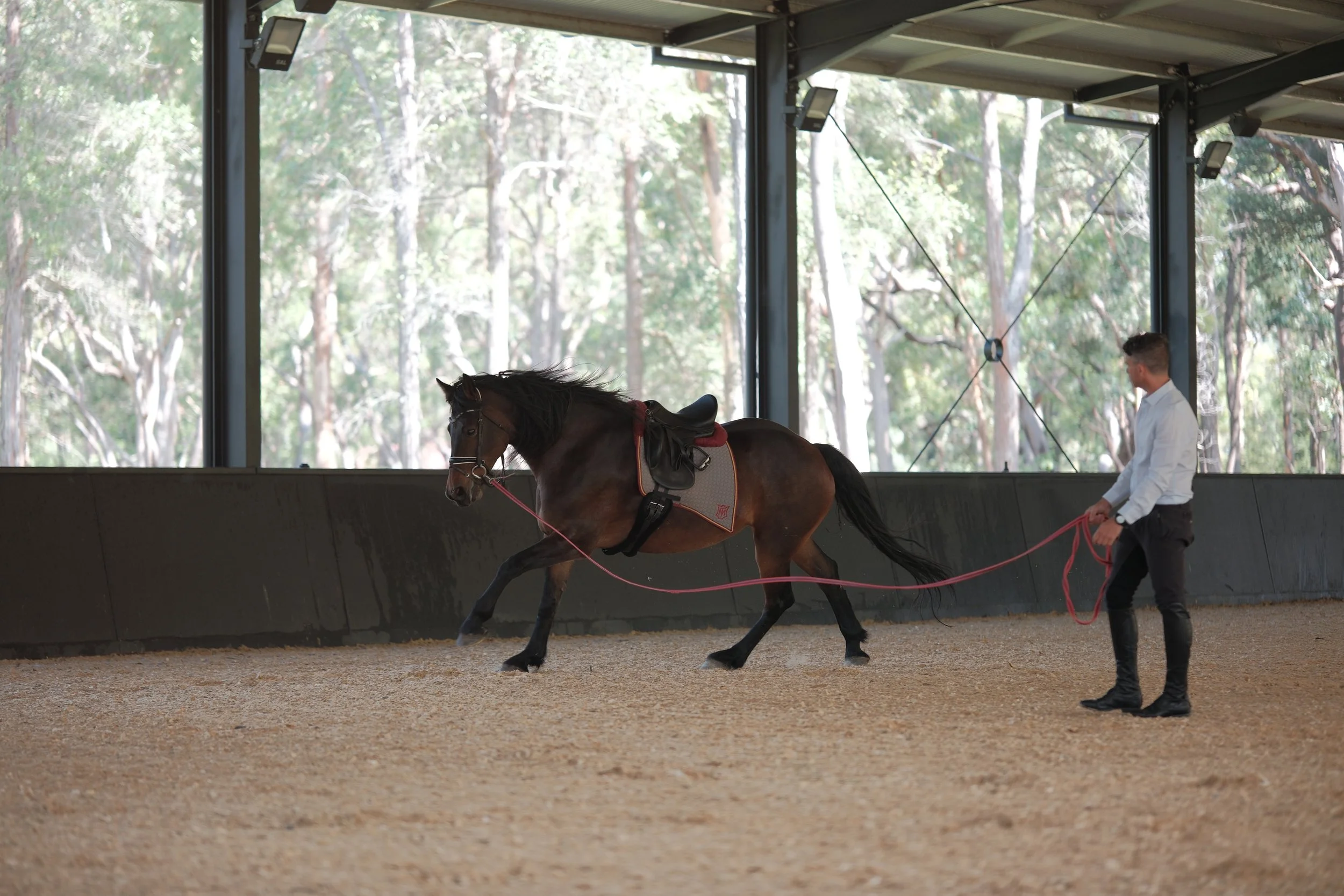 sydney indoor arena blaxlands ridge