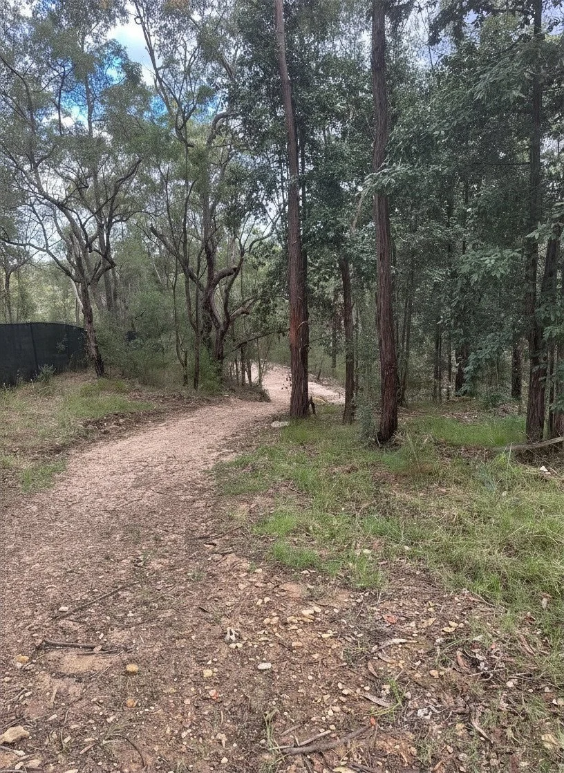 A dirt riding trail winding through a wooded area with trees and green foliage on both sides.