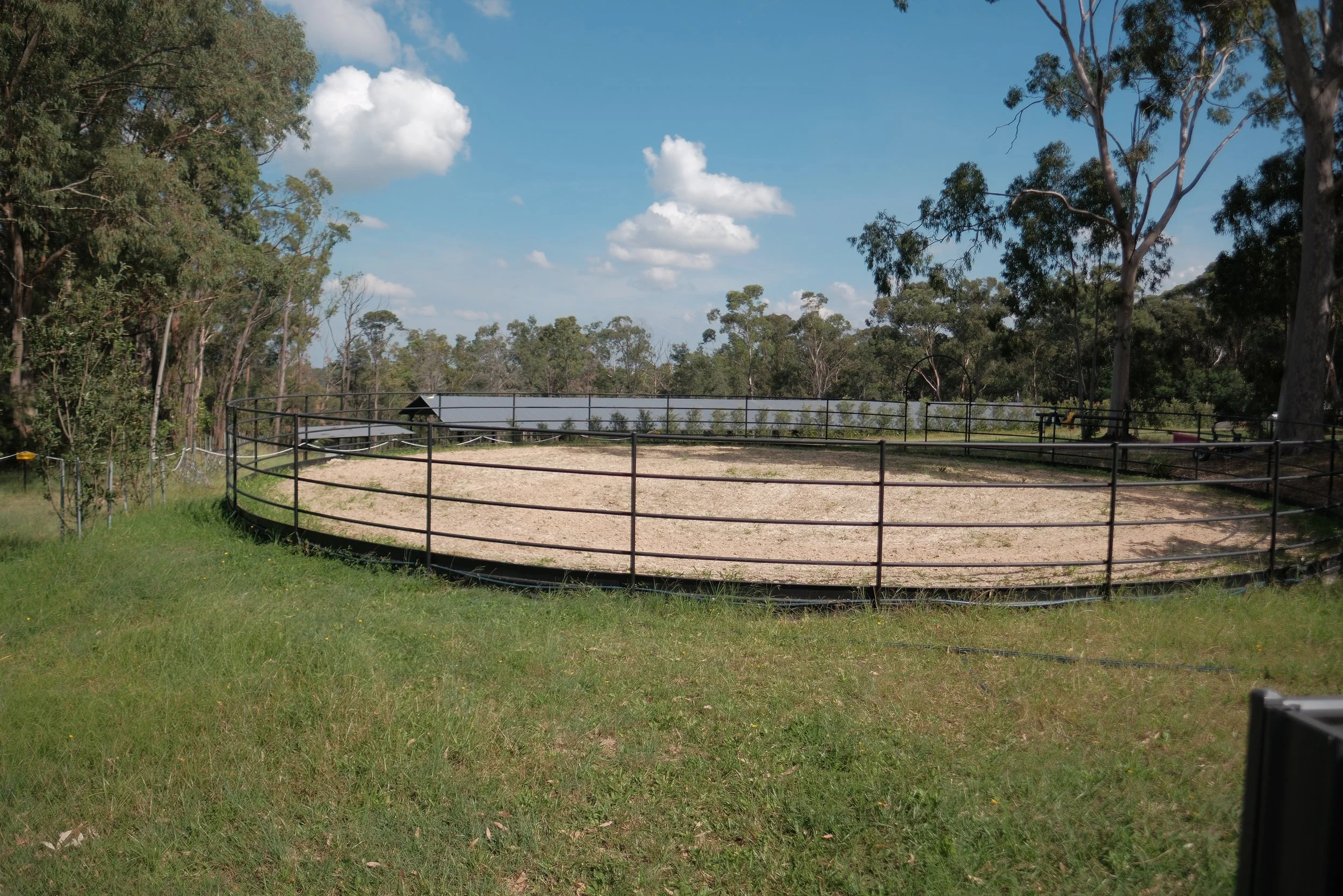 Roundyard arena with a fenced enclosure surrounded by trees and a bright blue sky with scattered clouds.