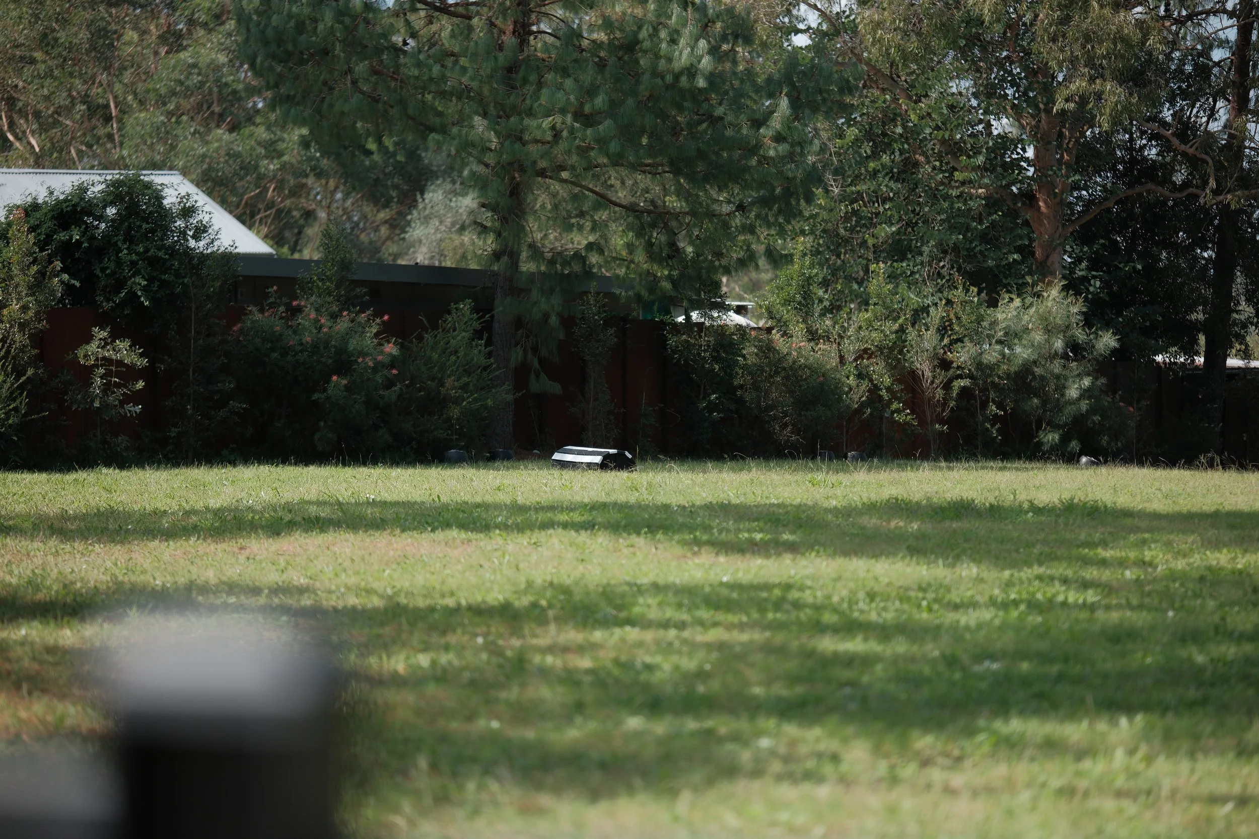 A jumping paddock with green grass, bushes, and trees in the background. A small device or object is on the grass in the foreground, with some trees and a house or shed partially visible behind the bushes.