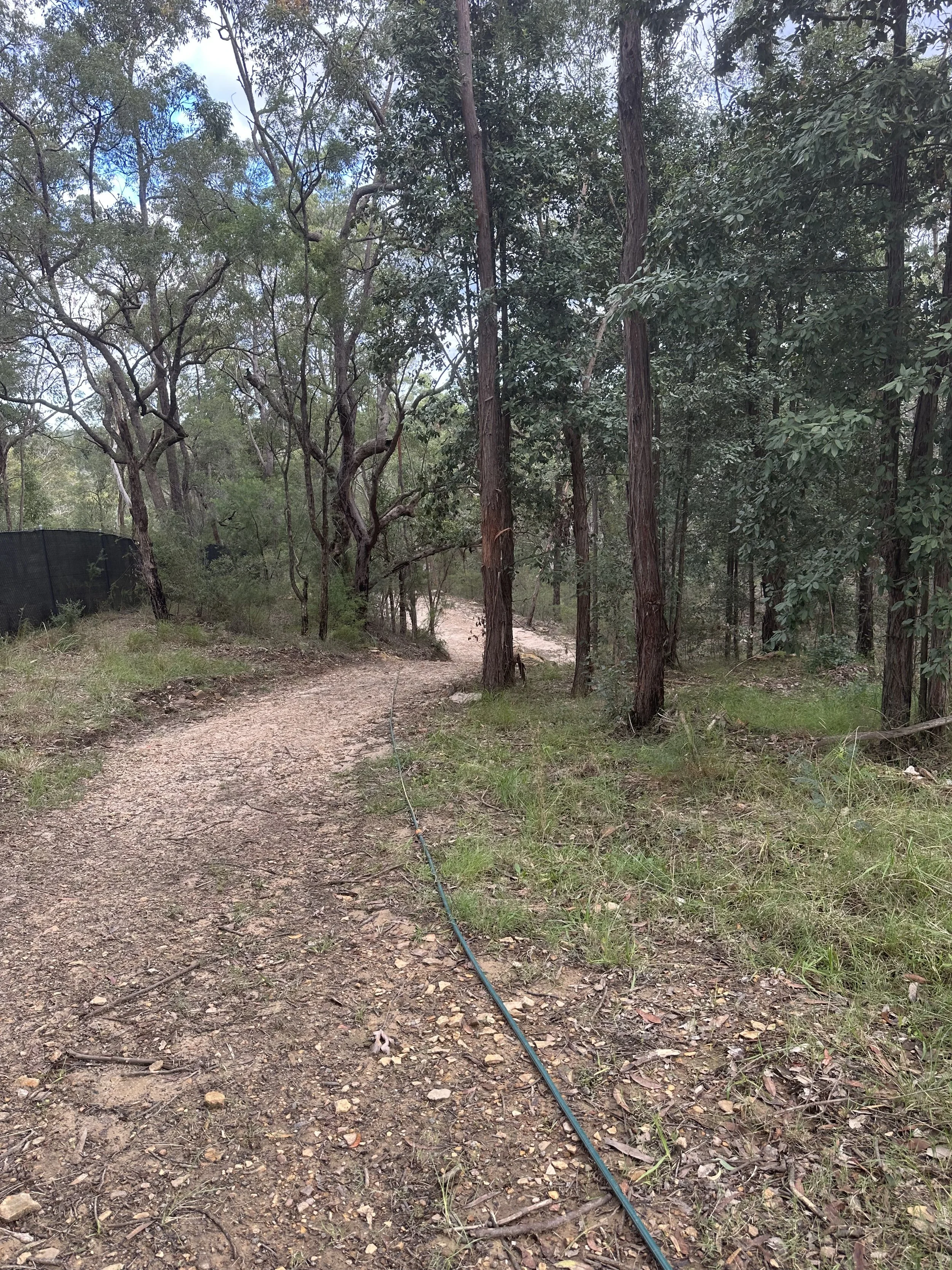 A riding dirt trail through a wooded area with green trees, grass, and branches on the ground, and a garden hose laid along the trail.