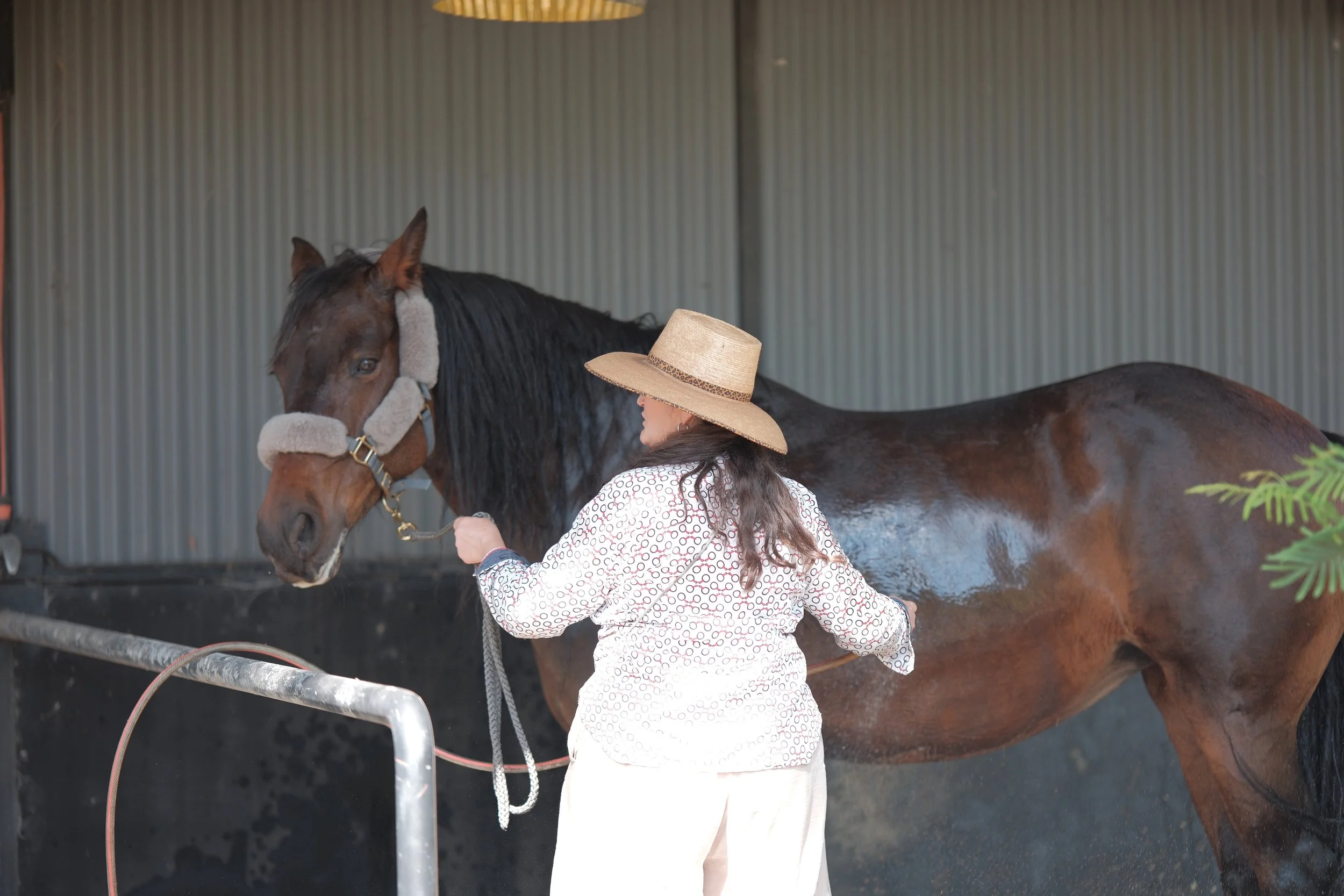A woman grooming or washing a large brown horse inside a stable or barn with corrugated metal walls.