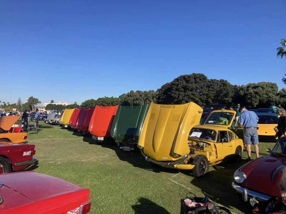 Row of vintage cars with their hoods open at a car show, including a yellow classic sports car in the foreground and other colorful classic cars in the background on a grassy field under clear blue skies.