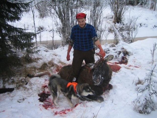 IMG_3384 [640x480].jpeg