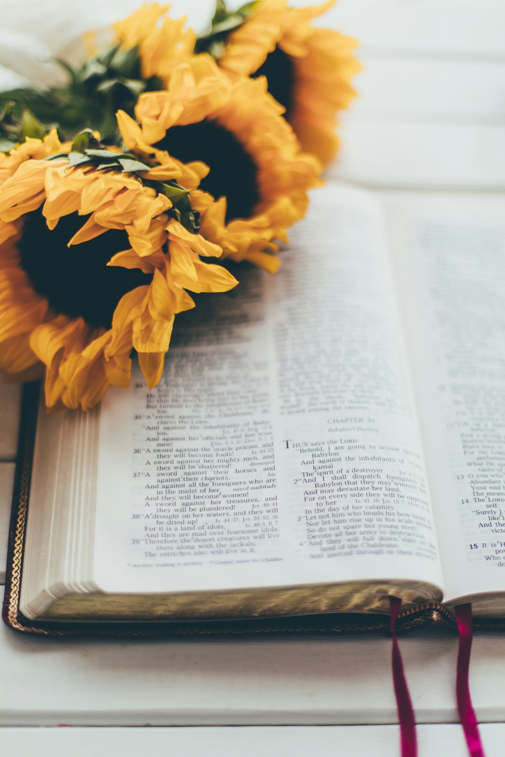 Open Bible with a sunflower resting beside its pages