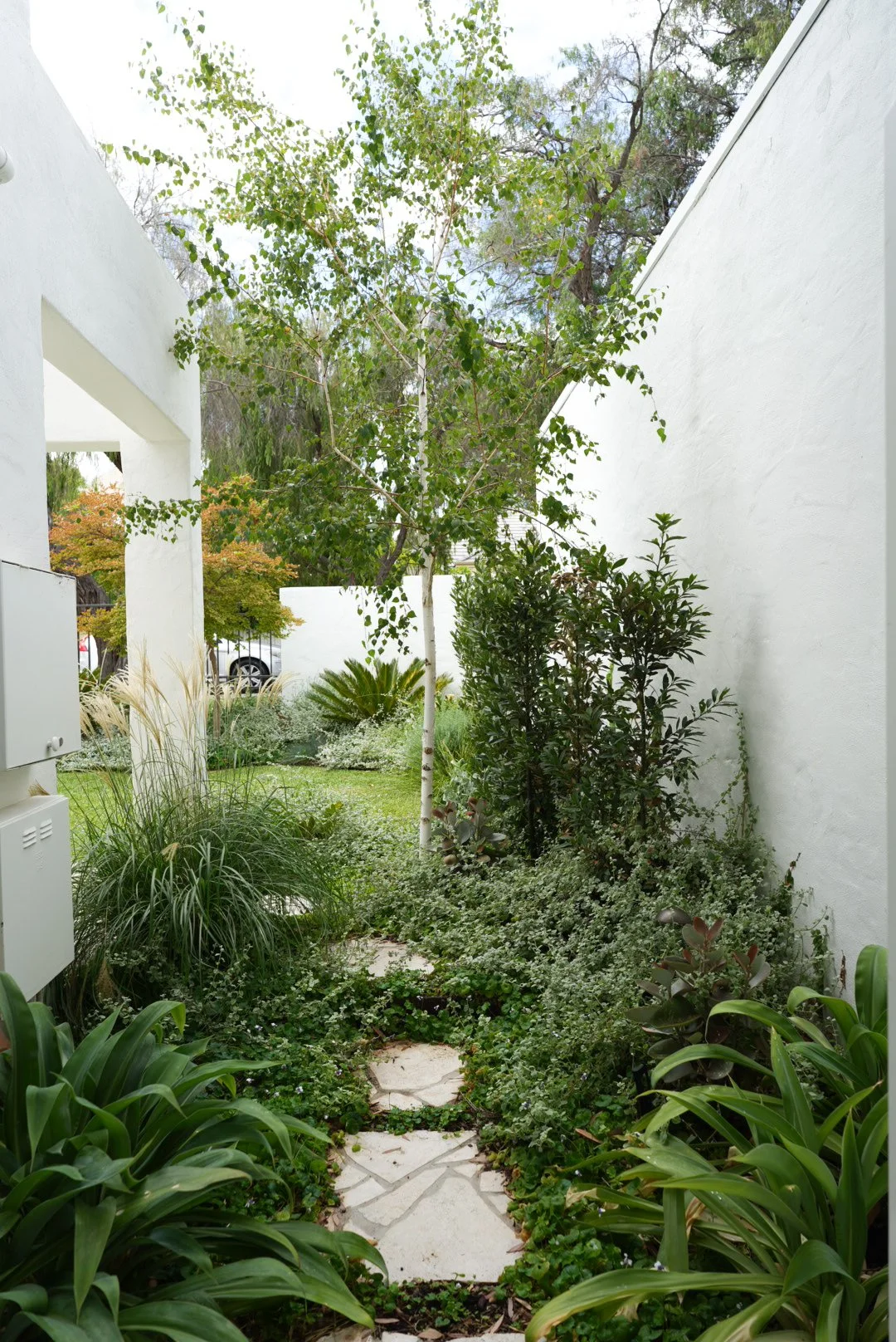 Pure Green Landscapes