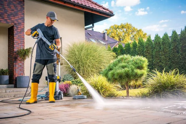 Person cleaning a patio with a high-pressure water spray in a backyard with garden plants