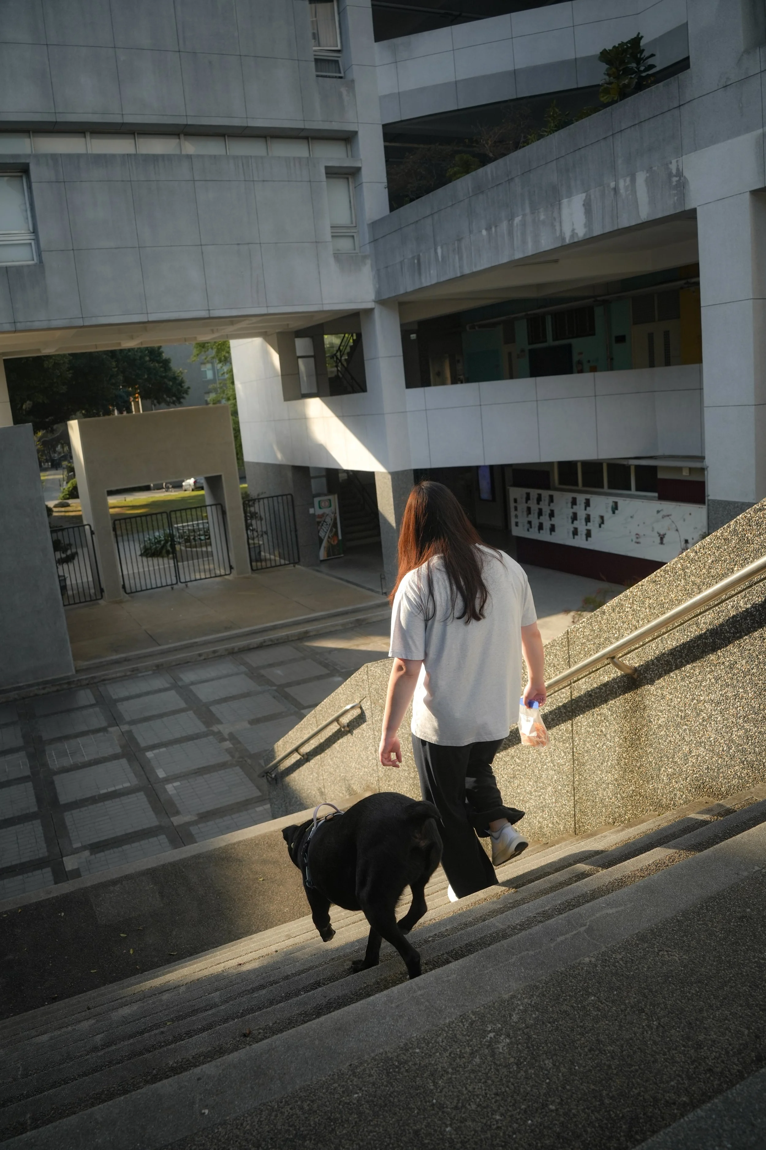 DSC06071.JPG