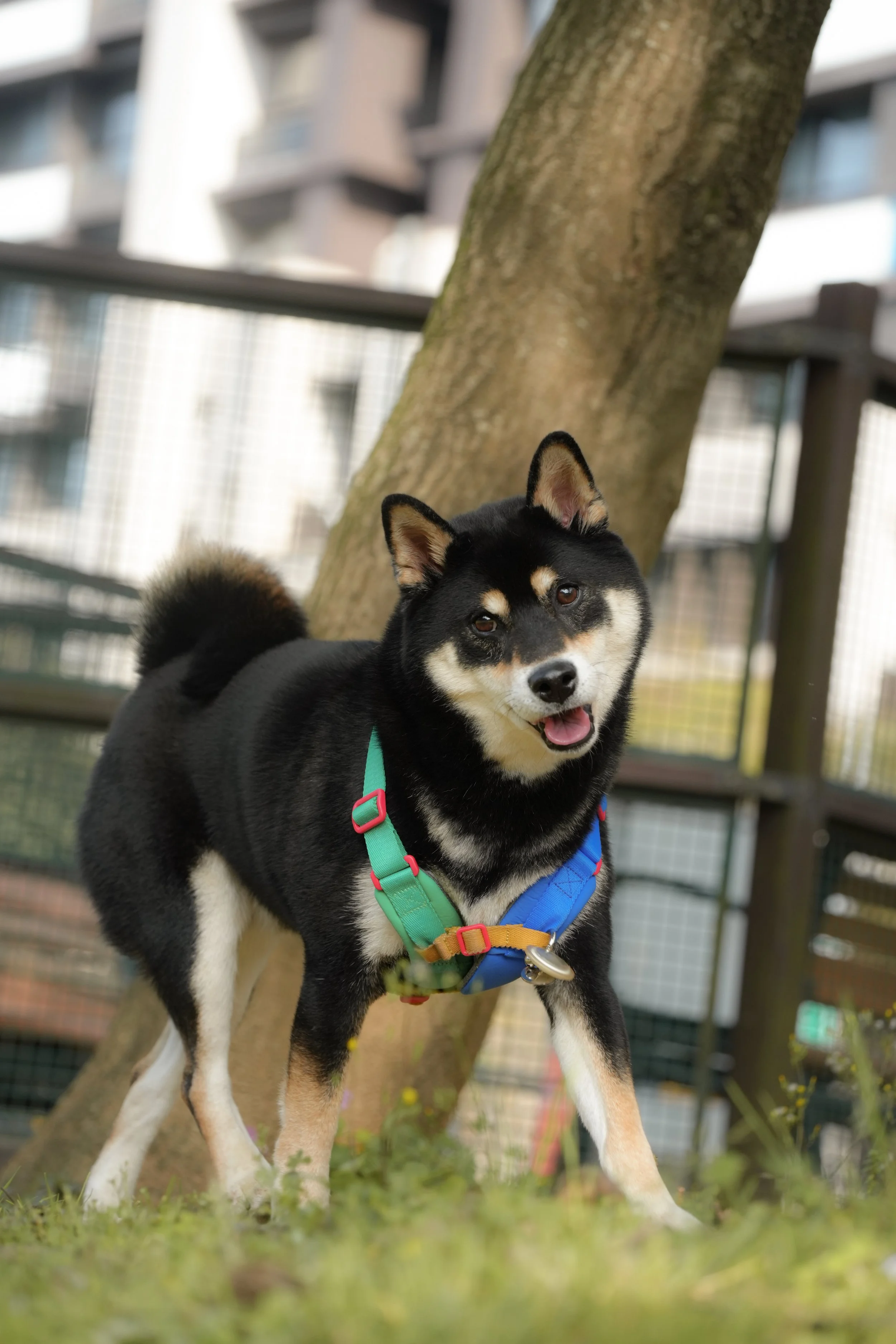 DSC07418 2.JPG