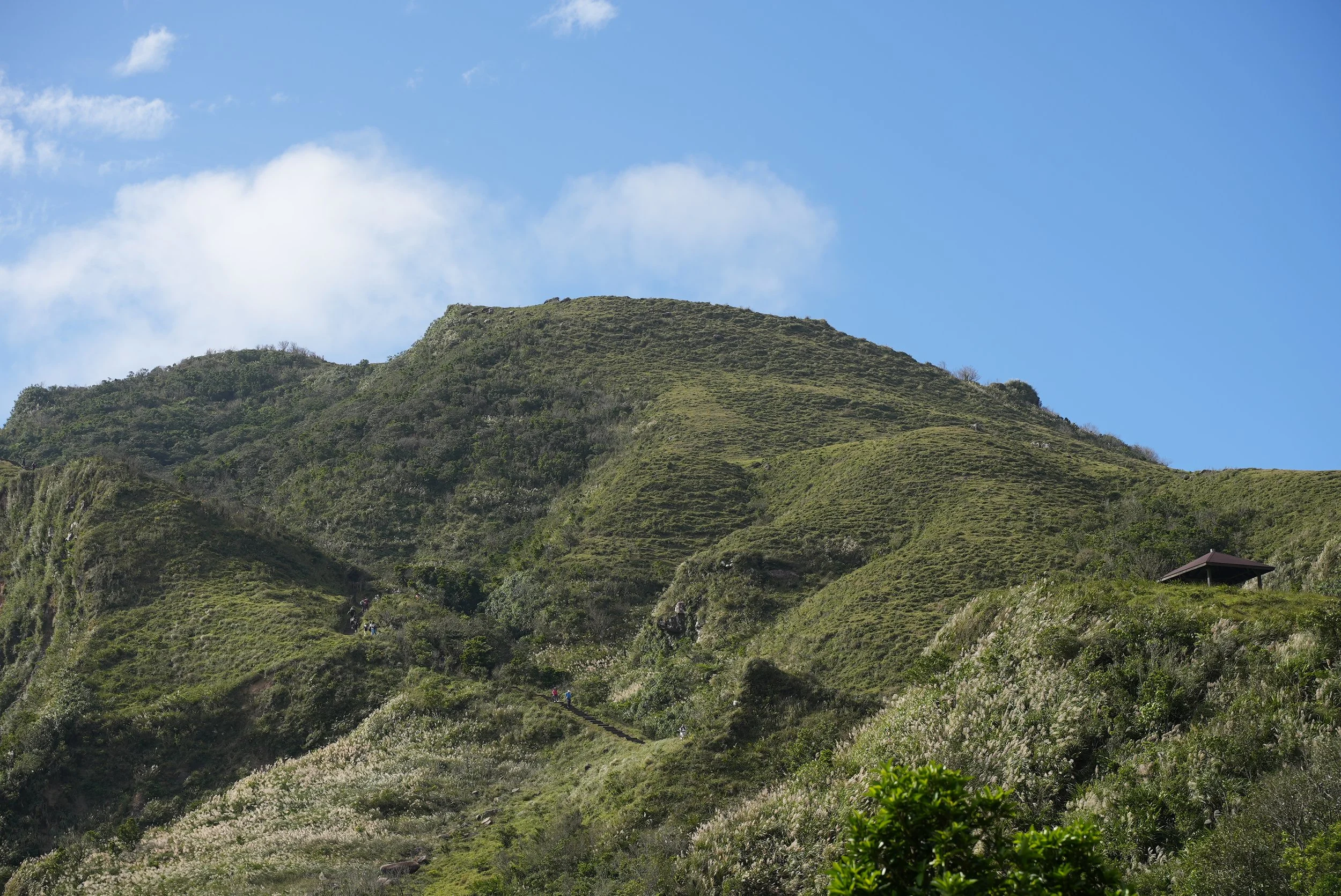 DSC05790.JPG